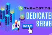 TheHosting.io: Premium VDS Hosting with Uncompromising Performance and Network Quality thehosting.io