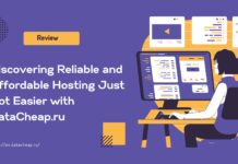 Review :Finding Reliable, Affordable Hosting Is Tough—Until DataCheap.ru a man sitting at a computer