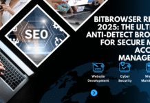 BitBrowser Review 2025: The Ultimate Anti-Detect Browser for Secure Multi-Account Management